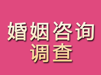 隆安婚姻咨询调查