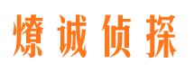 隆安市场调查